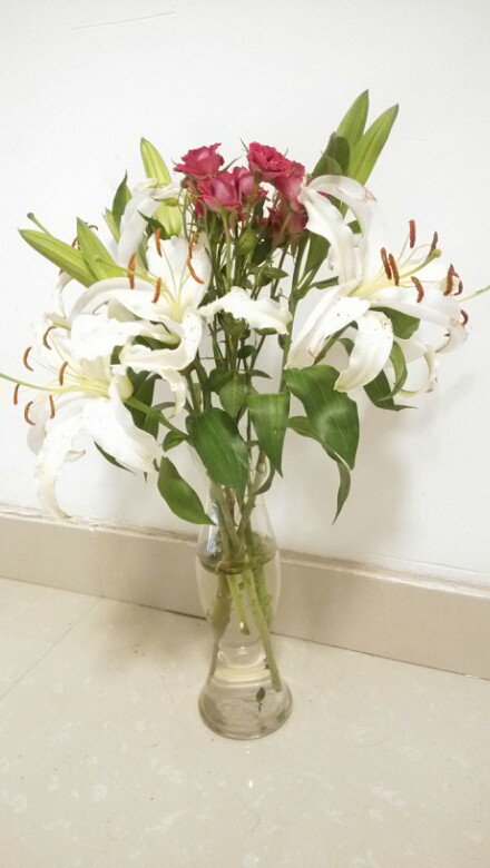 夜市买的焉耷耷花儿,现在开的多么