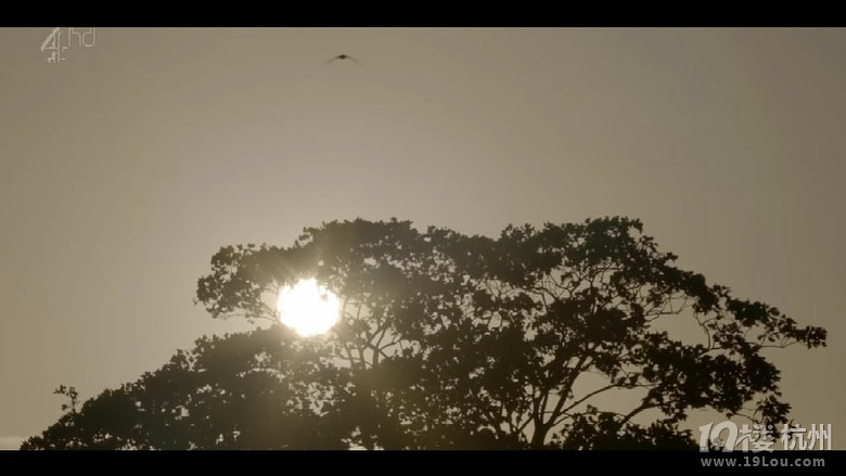 【高清图解】英国黑色幽默短剧《BLACK MIR