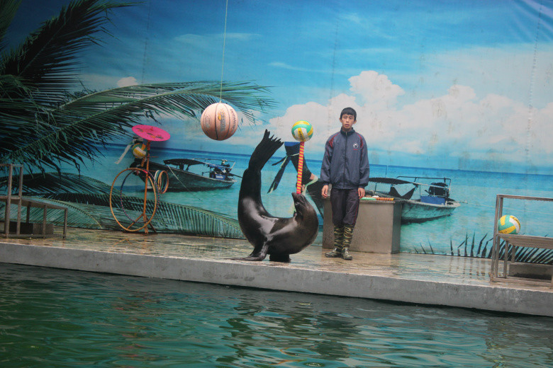 杭州动物园の海狮馆