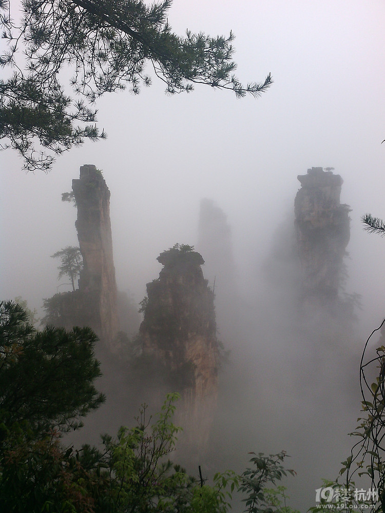张家界旅游攻略经验