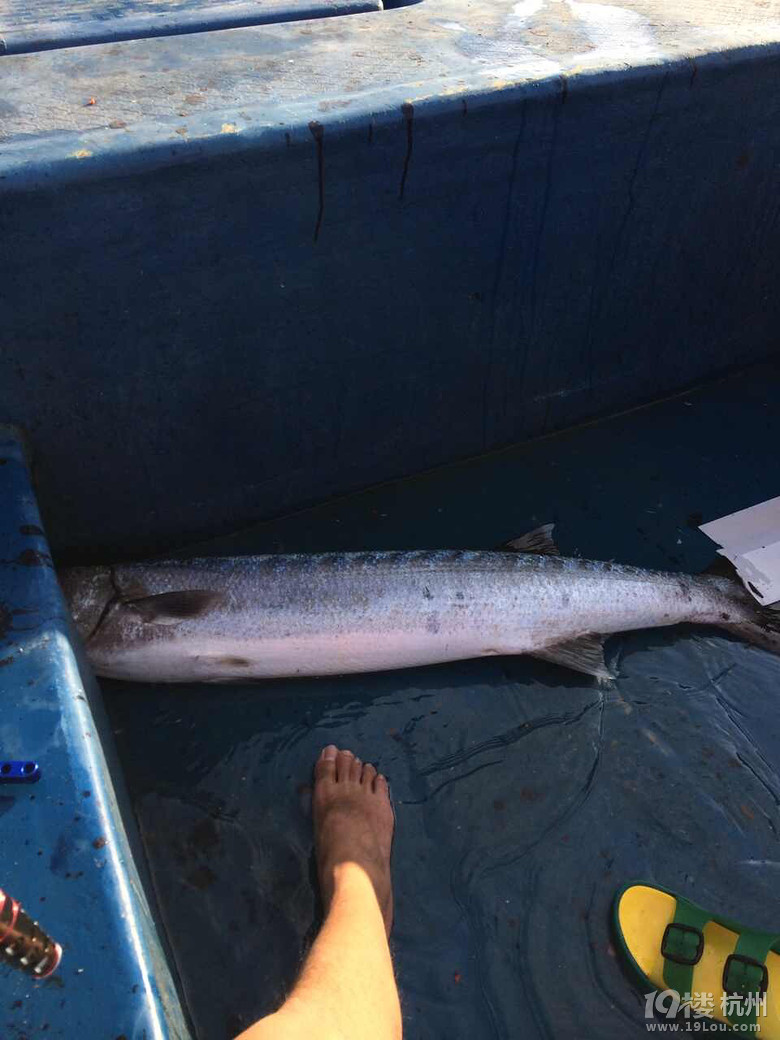 西沙游记(杭州人在西沙群岛20140501)