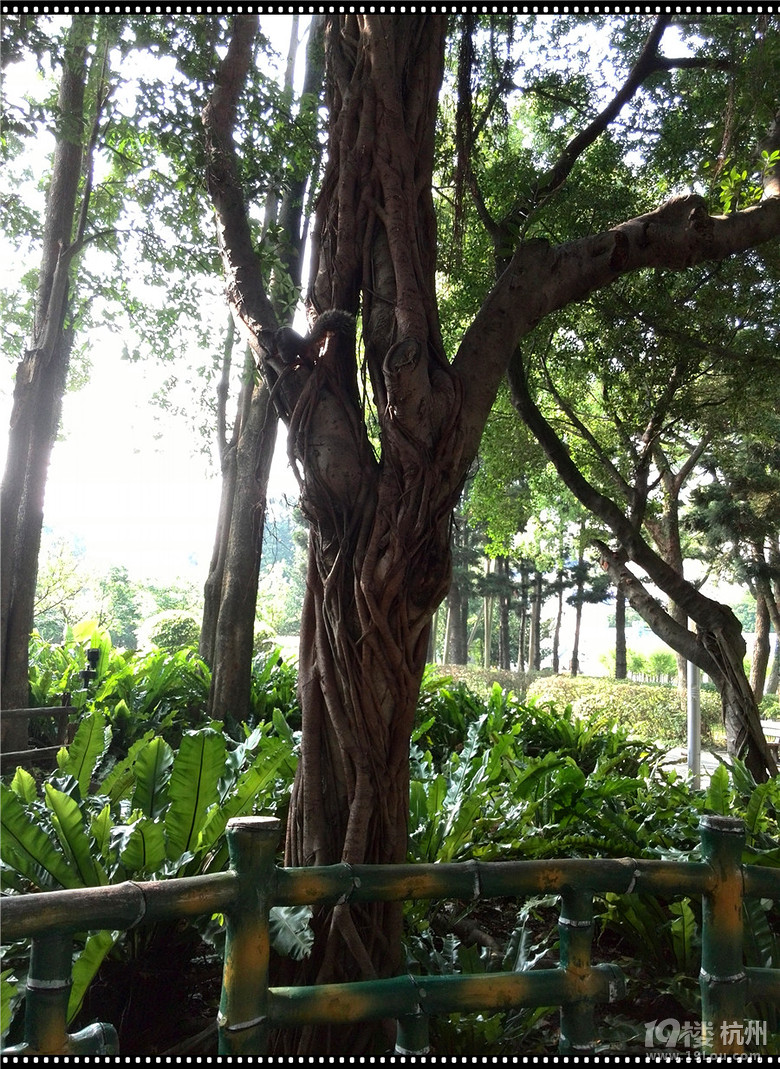【让我带你去旅行】大手拉小手 台湾路上走