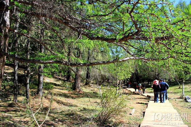 香格里拉不应该只是一个地方