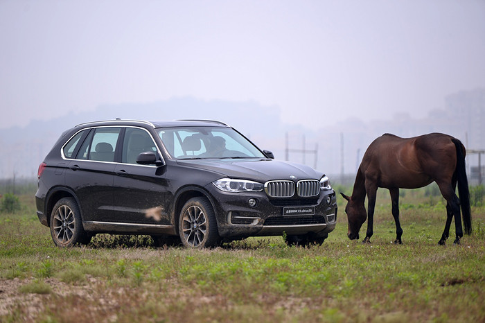 图片六:全新bmw x5"惺惺相惜".jpg