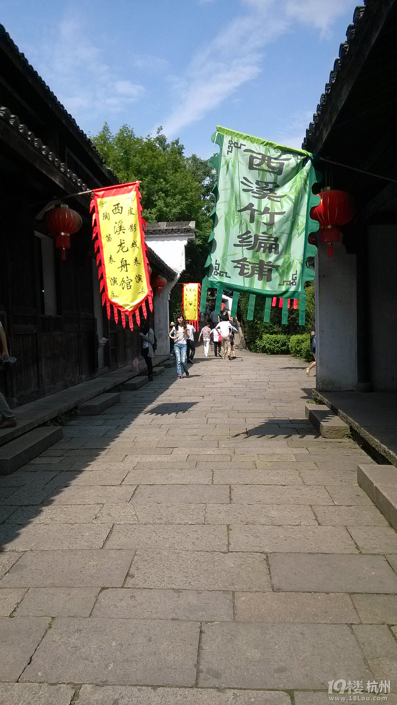 西溪且留下,端午赛龙舟!
