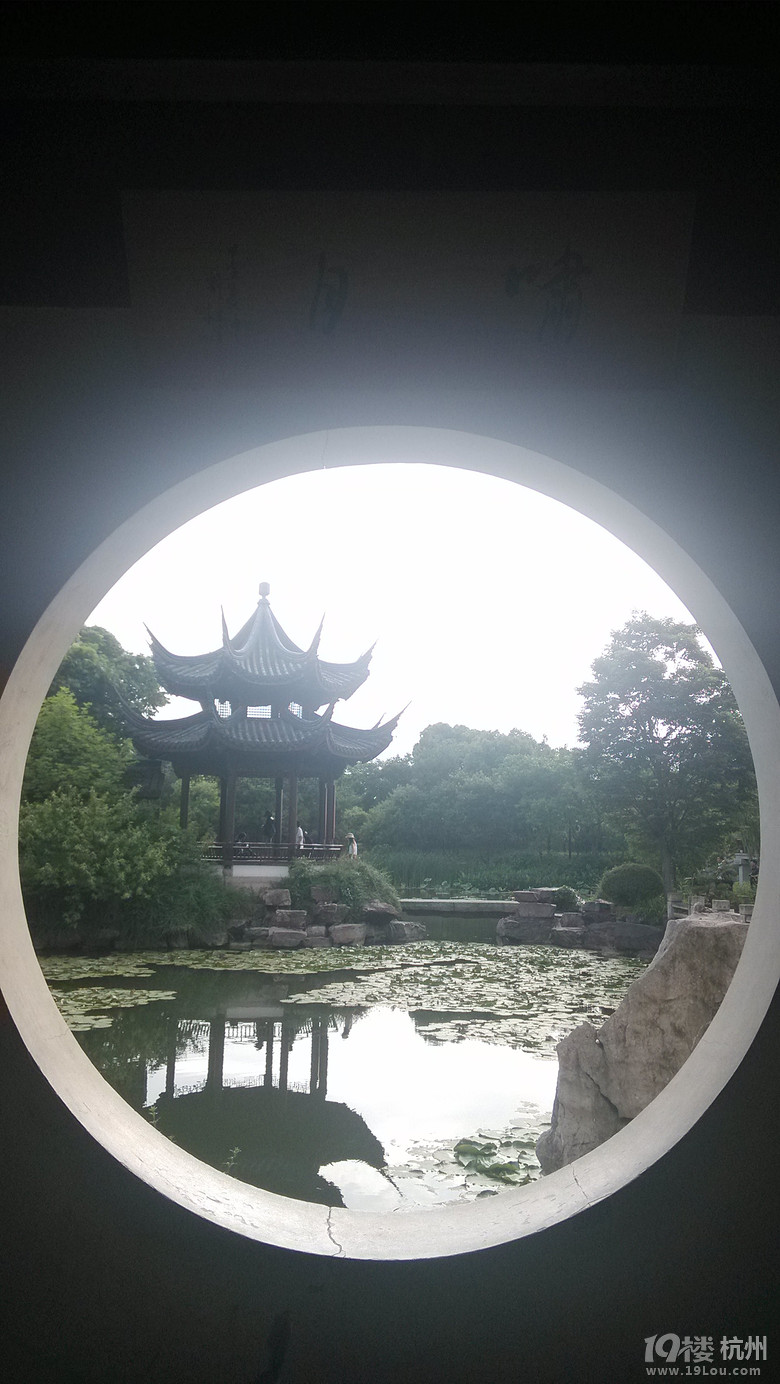 西溪且留下，端午赛龙舟！