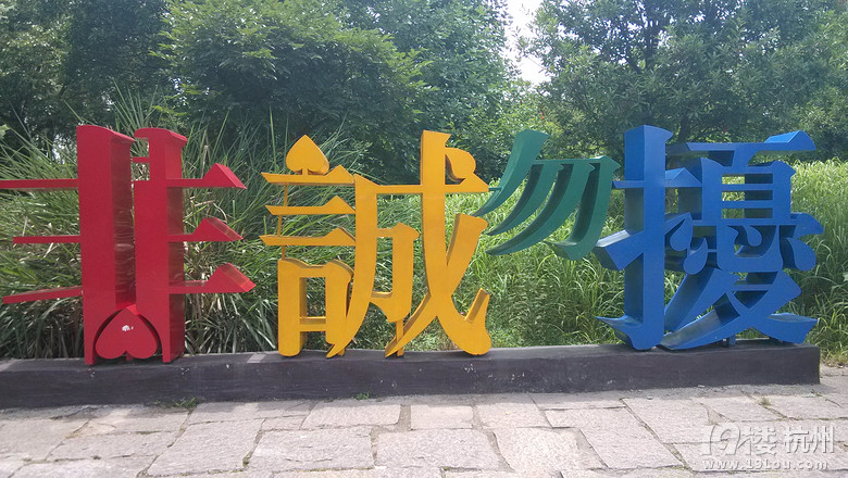 西溪且留下,端午赛龙舟!