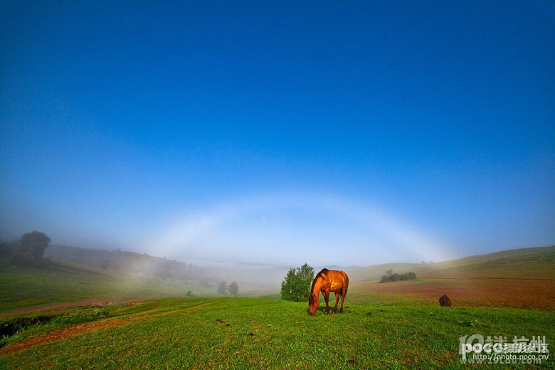 7月份的乌兰布统