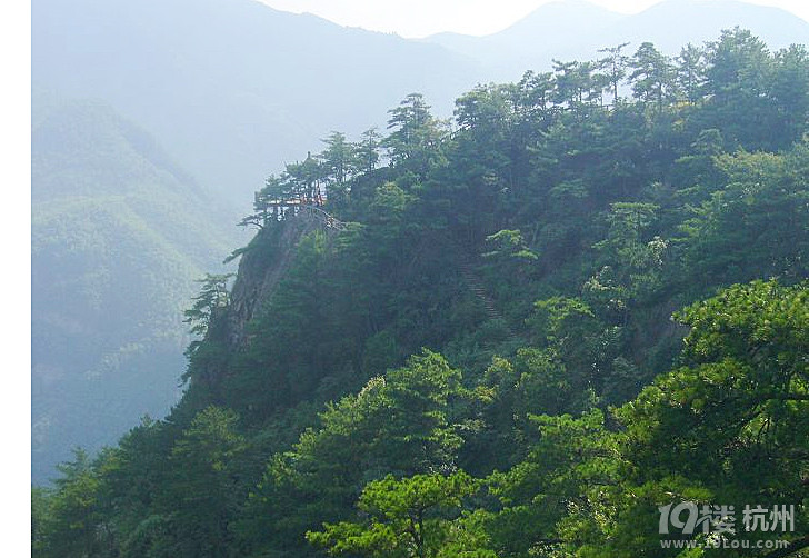 【安吉旅游推荐】夏季带着 朋友孩子老人去董岭避暑!