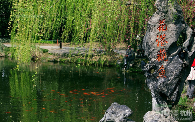 西湖十大经典景点之一花港观鱼-杭州旅游攻略-商家自荐-杭州19楼