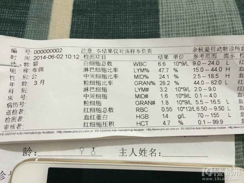 宠物血常规