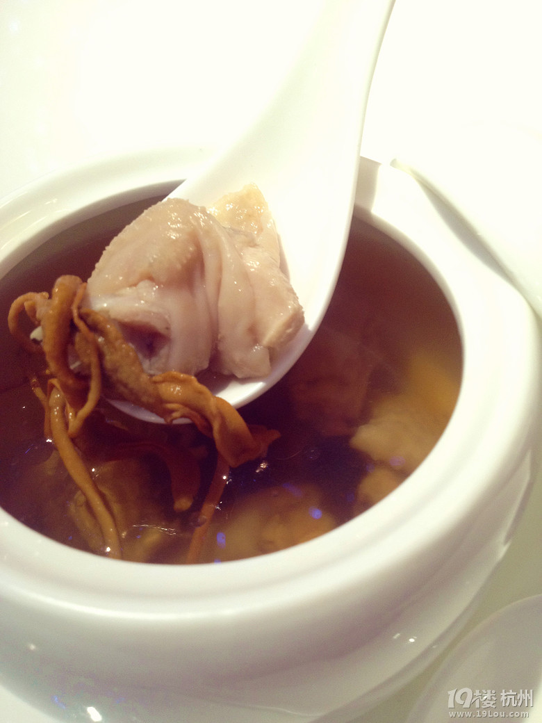 文火料理免費(fèi)試吃——用心煲一鍋靚湯，讓你愛上粵式料理