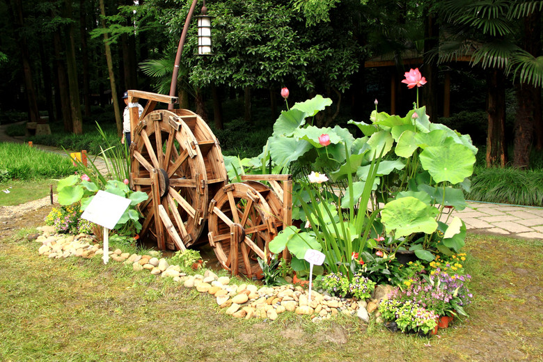 西湖荷花展—荷花水湿生植物创意小品