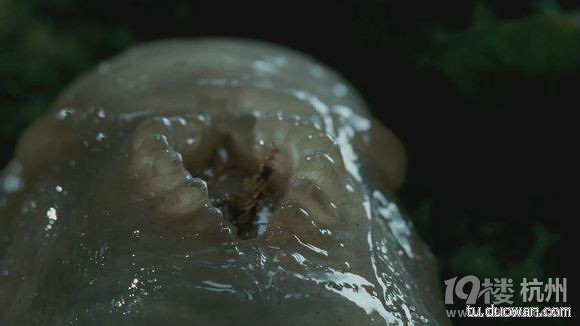 图解电影《撕裂人》,外星生物撕裂人心智(完结