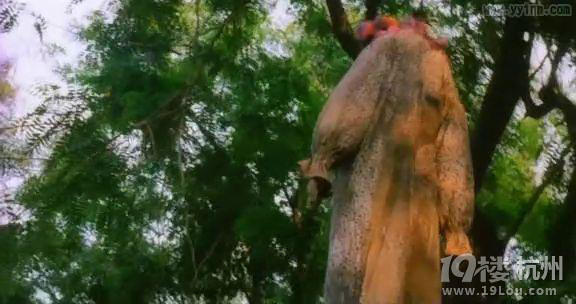 图解电影《咒乐园》,陈文媛经典之作 (完结)-第