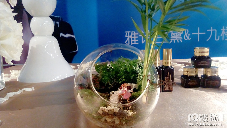 雅詩蘭黛線下沙龍