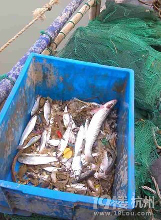 宁波宁海湾海岛游，捕鱼，吃海鲜