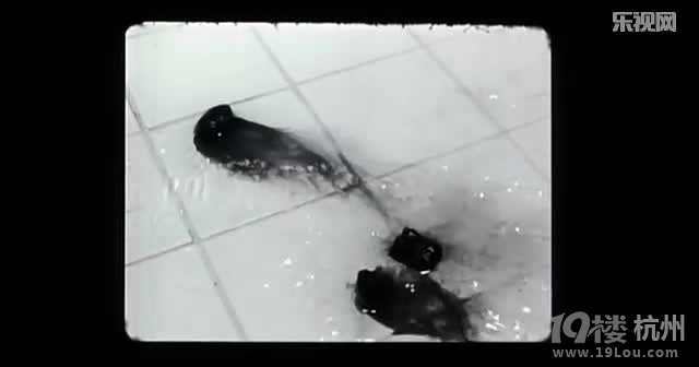 图解电影《奇谈》又名冥婚凄谈,妻子不正常-恐