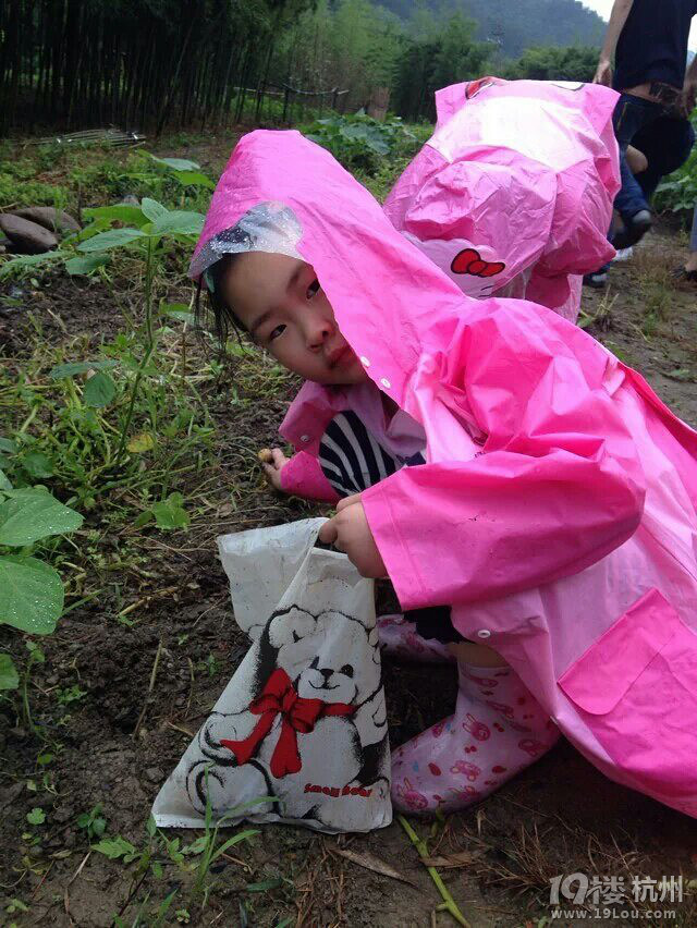 拥抱自然 共享成长-大自然亲子游活动回顾与感