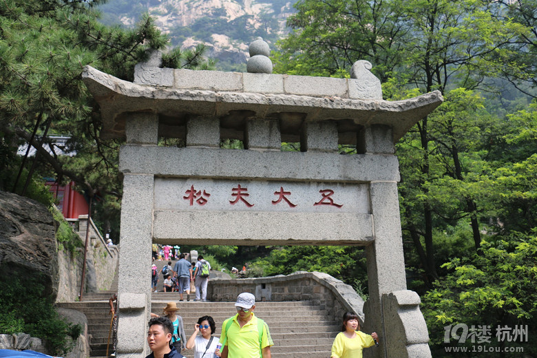 泰山行杂记之登山篇
