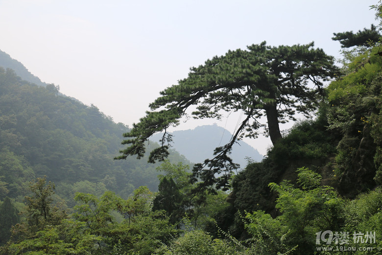 泰山行杂记之登山篇