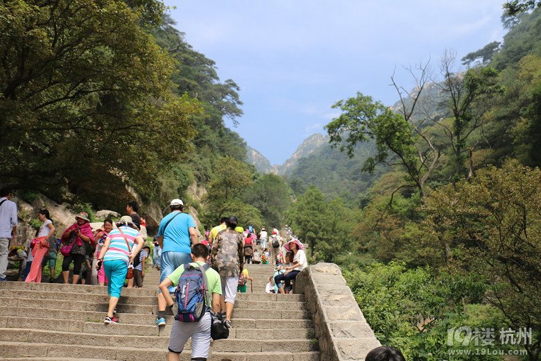 泰山行杂记之登山篇