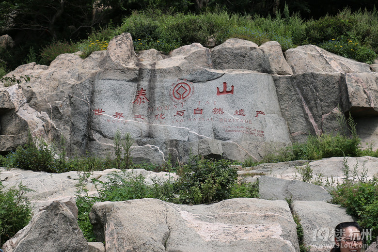 泰山行杂记之登山篇