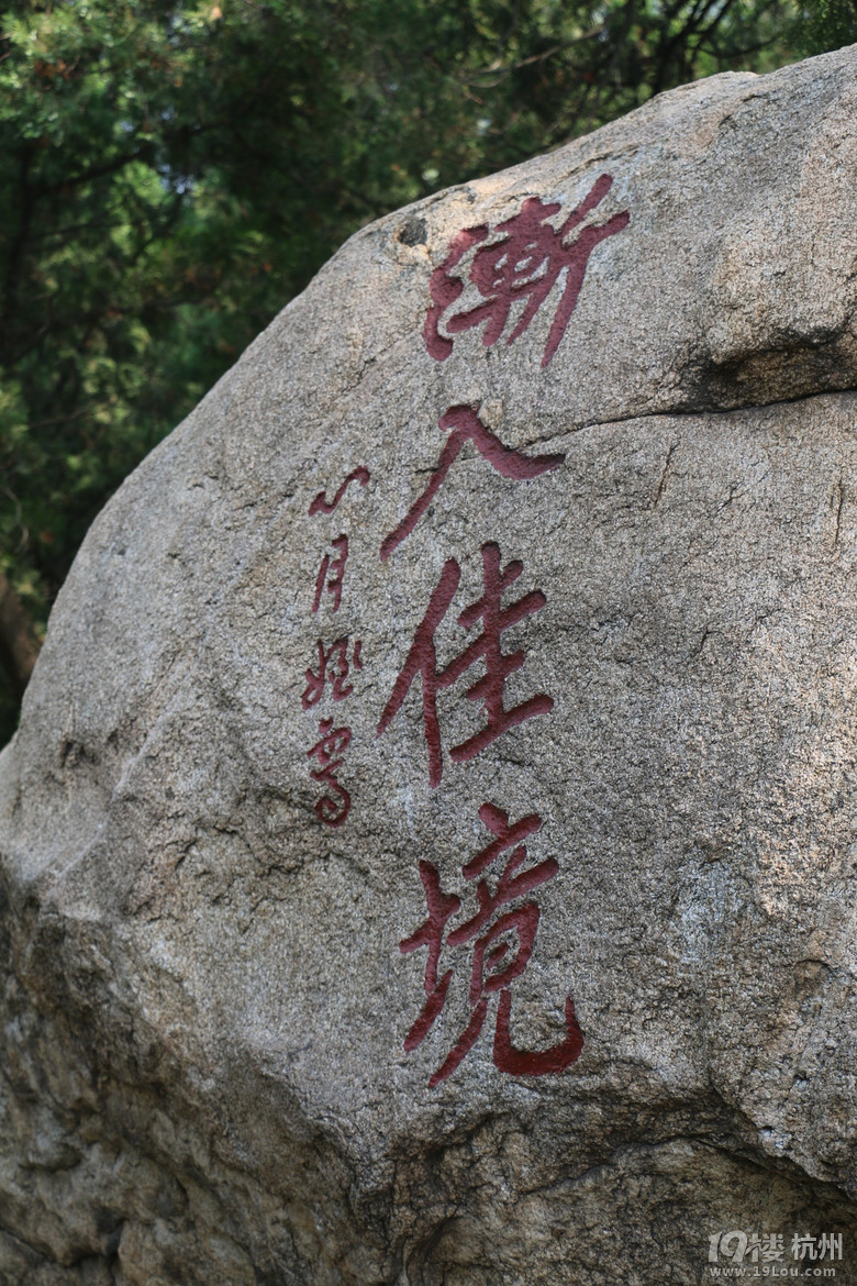 泰山行杂记之登山篇