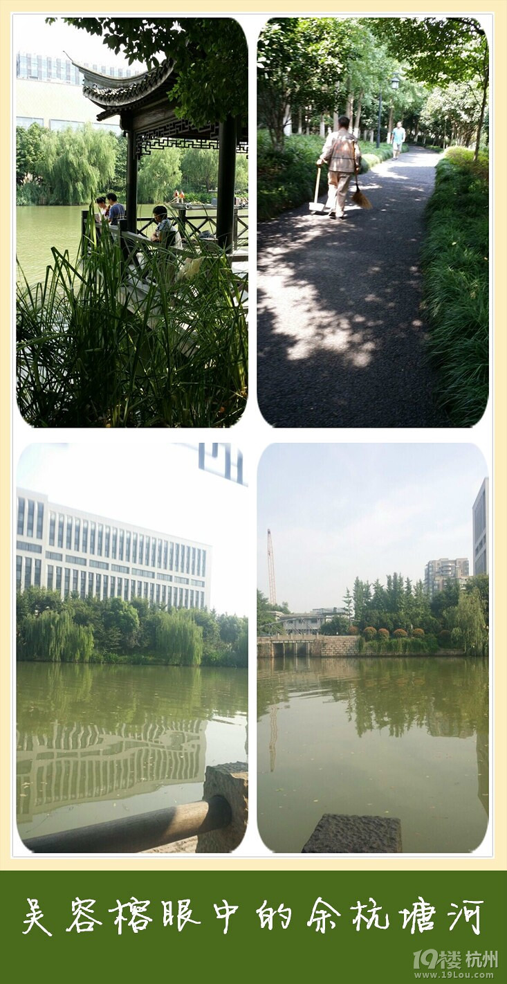 美麗的余杭塘河(三)------"五水共治"我們?cè)谛袆?dòng)