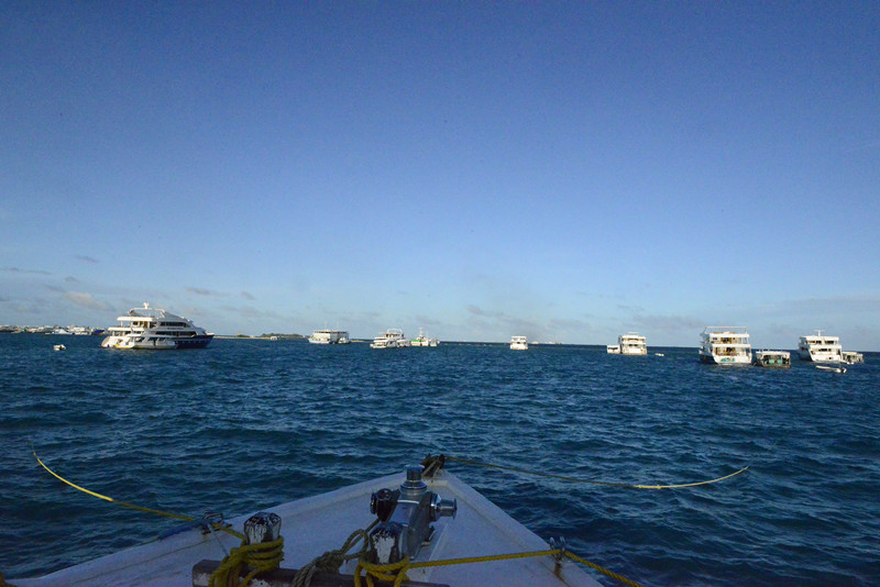 马尔代夫船宿潜水之旅