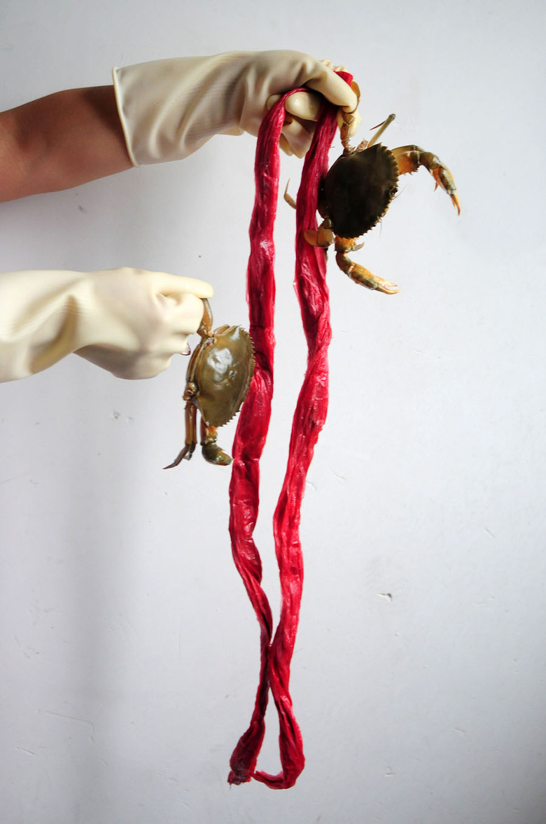 《一根绑蟹绳价值22.5元》