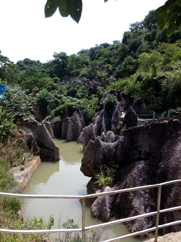 这里是在广东省云浮市富林镇云雾山