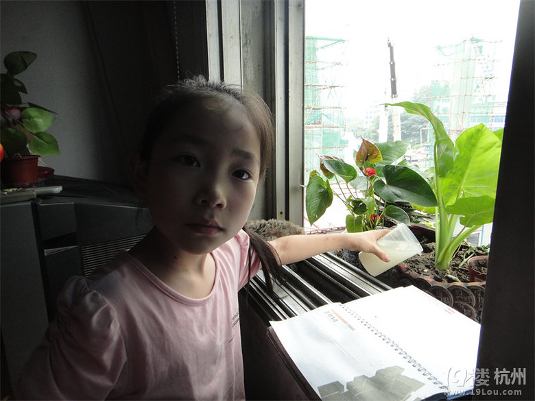 杭州濱江一小學(xué)生積極響應(yīng)省政府五水共治的大政方針