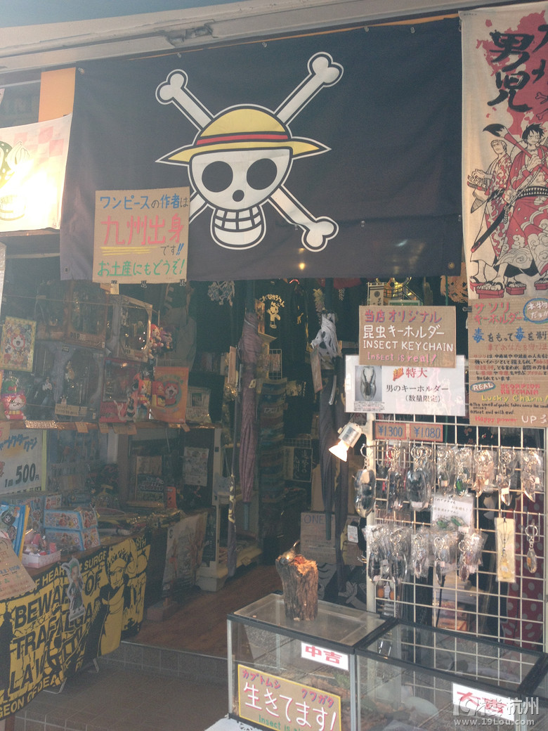 【和你在一起】魅力日本游—蓝天草原火山温泉（有图有真相）