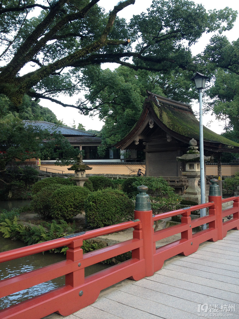 【和你在一起】魅力日本游—蓝天草原火山温泉（有图有真相）