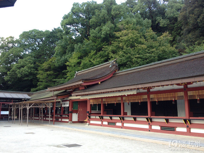 【和你在一起】魅力日本游—蓝天草原火山温泉（有图有真相）