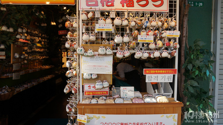 【和你在一起】魅力日本游—蓝天草原火山温泉（有图有真相）