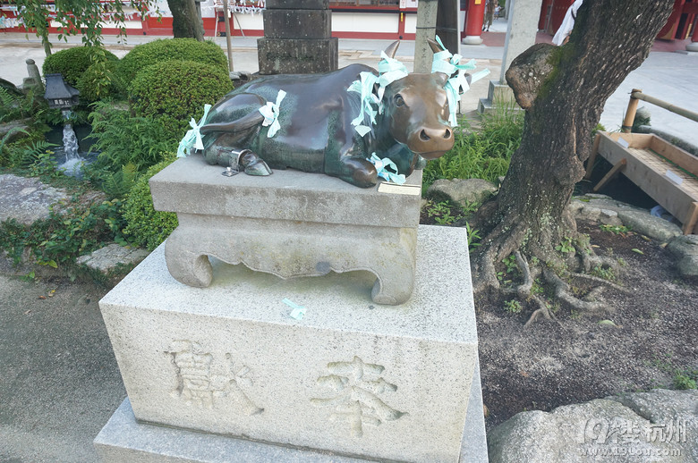 【和你在一起】魅力日本游—蓝天草原火山温泉（有图有真相）