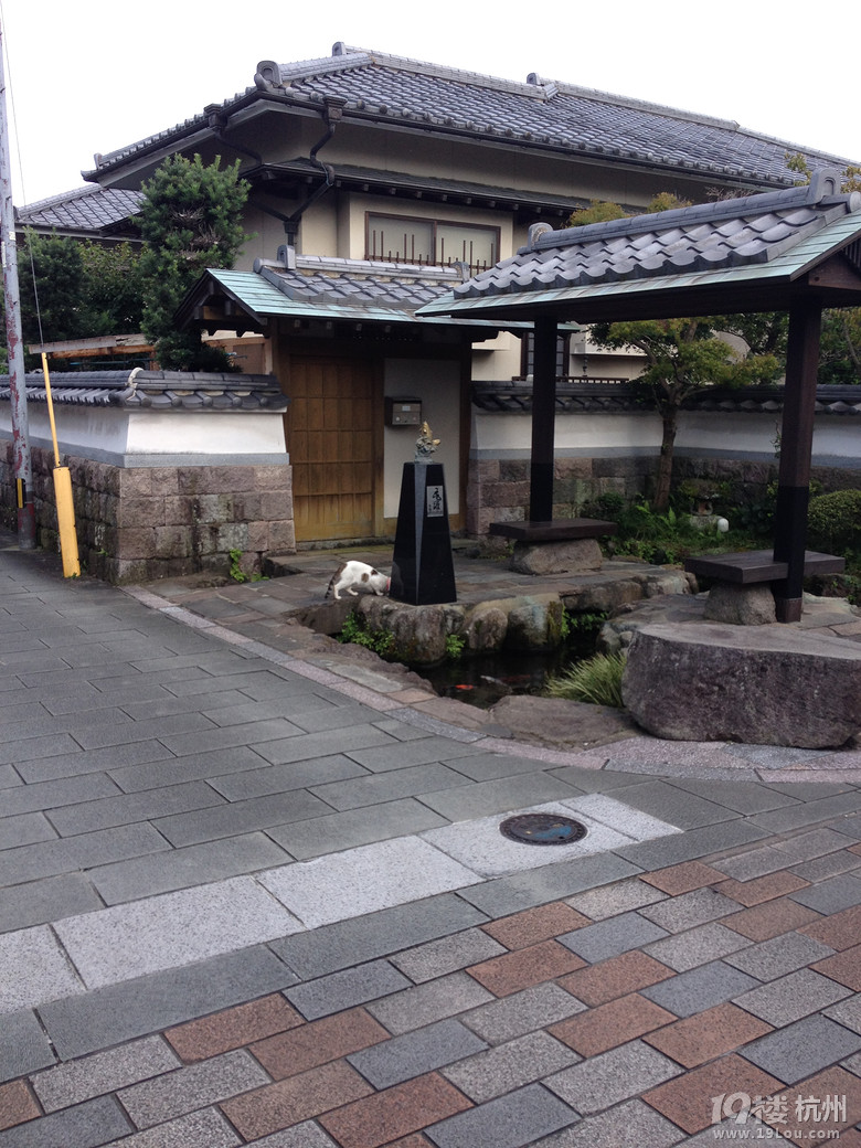 【和你在一起】魅力日本游—蓝天草原火山温泉（有图有真相）