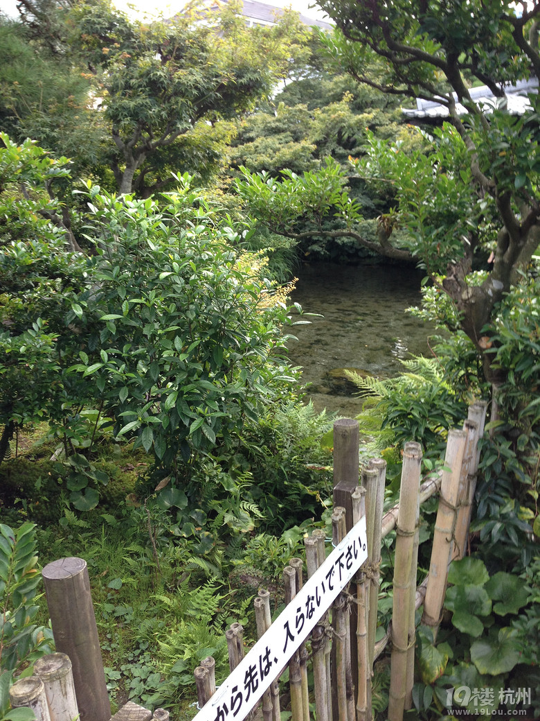 【和你在一起】魅力日本游—蓝天草原火山温泉（有图有真相）