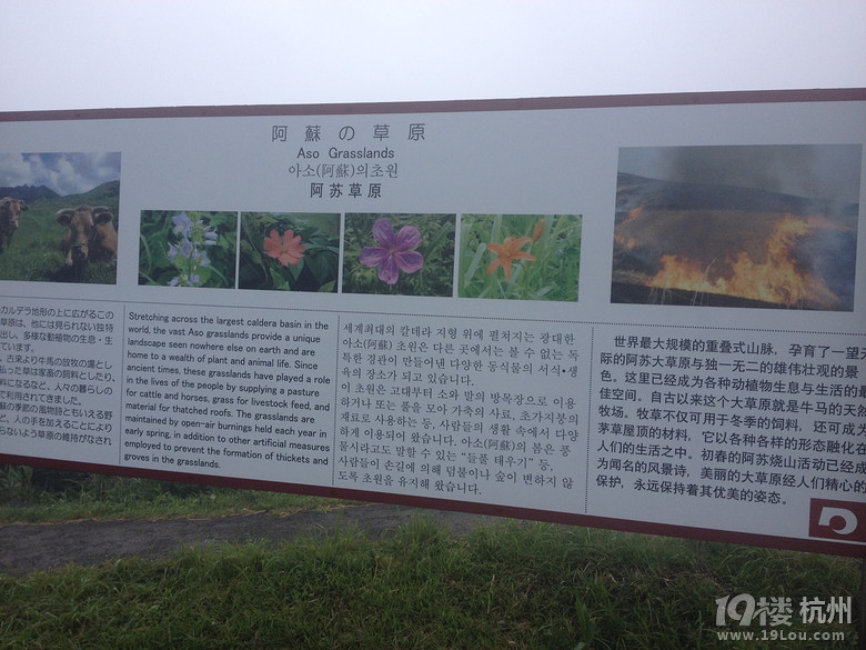 【和你在一起】魅力日本游—蓝天草原火山温泉（有图有真相）
