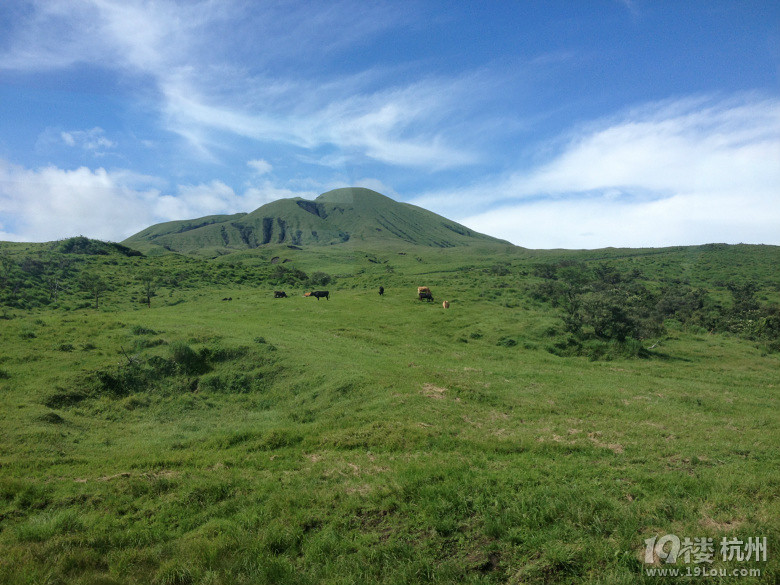 【和你在一起】魅力日本游—蓝天草原火山温泉（有图有真相）
