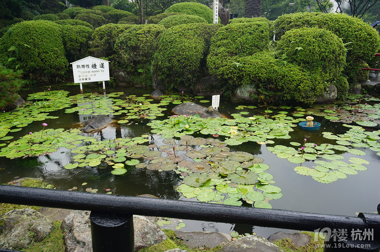 【和你在一起】魅力日本游—蓝天草原火山温泉（有图有真相）