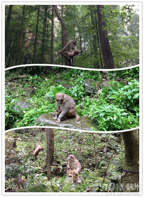 兩個MM游走張家界,天門山--一次遍嘗小清新