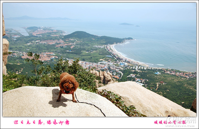 帶狗狗自駕青島威海煙臺游,各種快樂及心酸