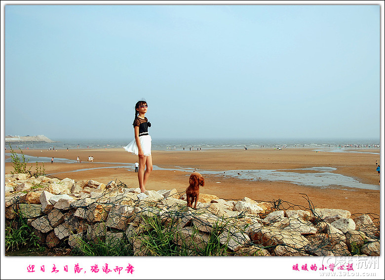 帶狗狗自駕青島威海煙臺游,各種快樂及心酸