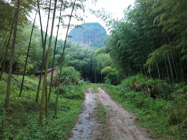 雨天山中行