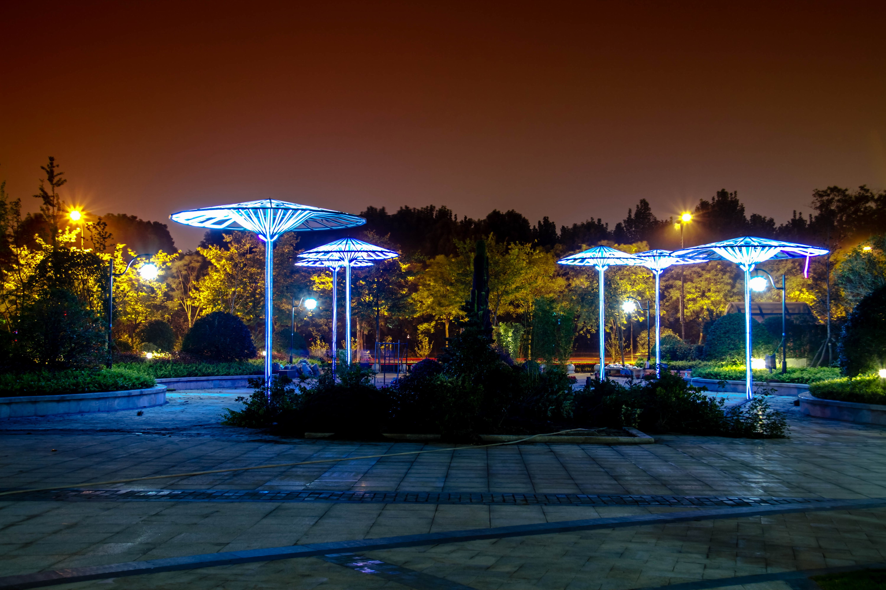 新紫荆公圆夜景