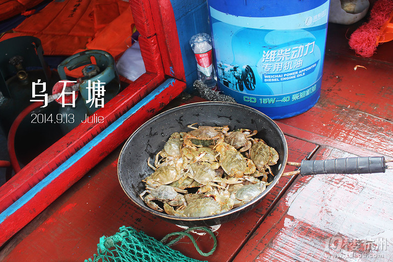舟山朱家尖二日游：肥美的螃蟹崽子们，我来啦！