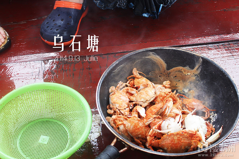 舟山朱家尖二日游：肥美的螃蟹崽子们，我来啦！